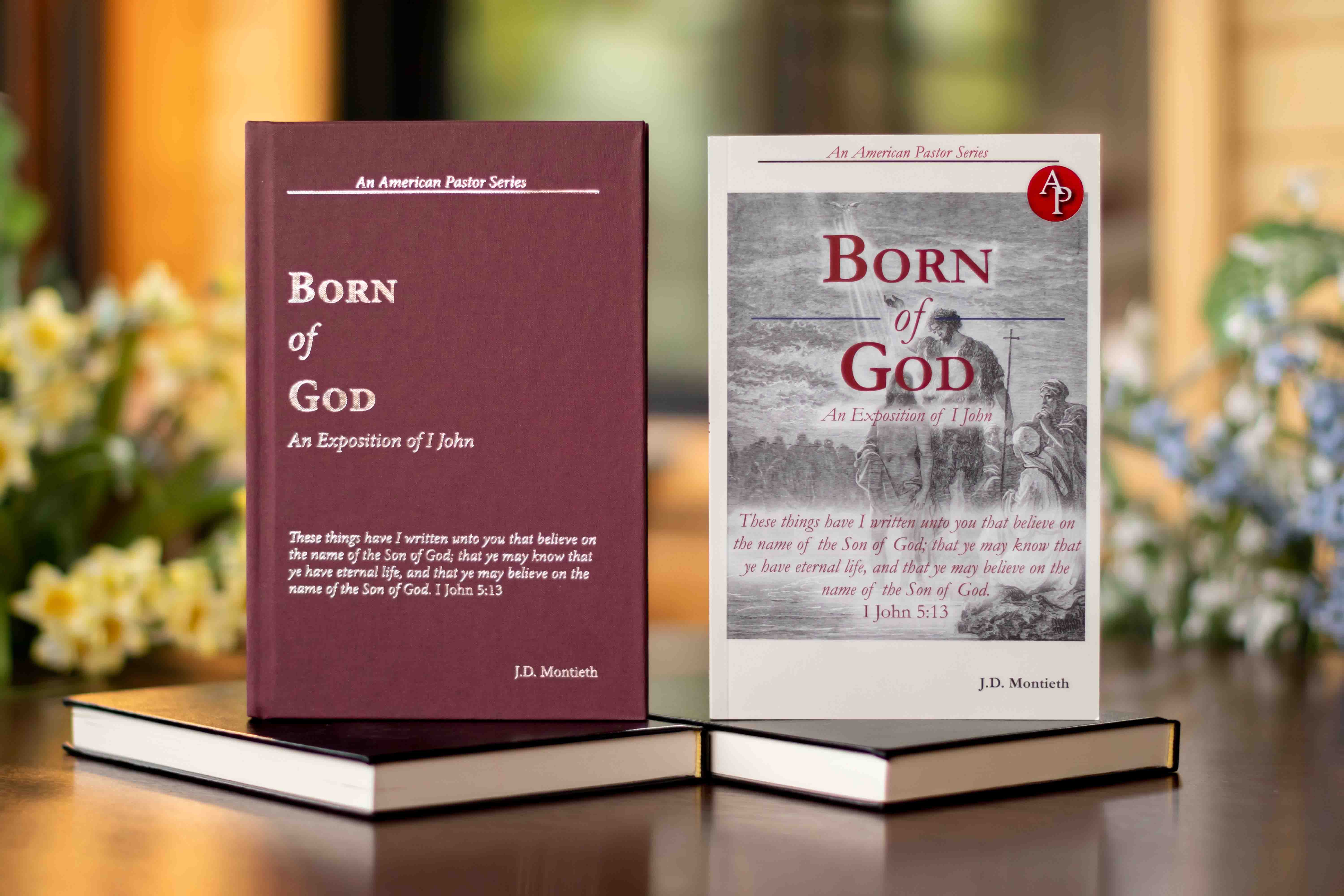 Sermon Series | American Pastor